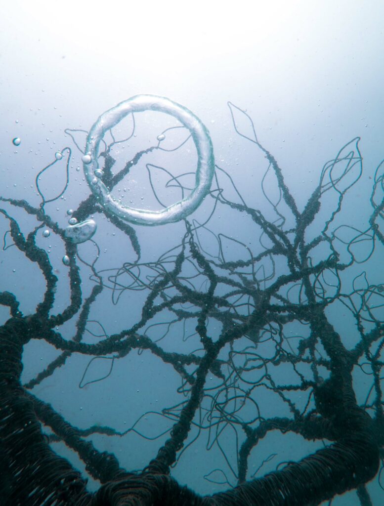 Underwater Halo - Tree of Life